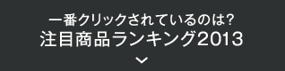 一番クリックされているのは？ 注目商品ランキング2013