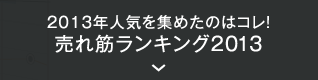 2013年人気を集めたのはコレ！ 売れ筋ランキング2013