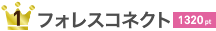 フォレスコネクト 1320pt