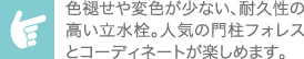 エイン 264pt